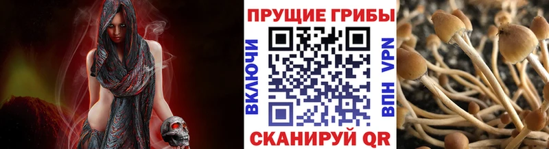 Галлюциногенные грибы мицелий  кракен вход  Любань  цены  